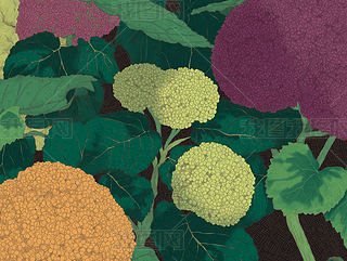 ŶC򻨲ˇg(sh)AI宋(bo)DƬز