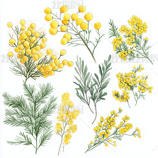 ߲ݻˇg(sh)ƷAI宋(bo)DƬز