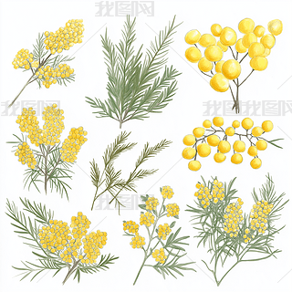 ֲ߲ˇg(sh)AI宋(bo)DƬز