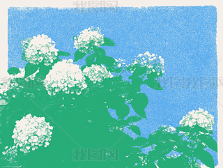 ŶCˇg(sh)ƷAI宋(bo)DƬز