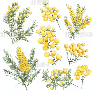 ߲ݻˇg(sh)ƷAI宋(bo)DƬز