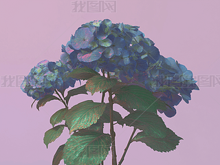 C򻨳F(xin)`AI宋󱳾DƬز