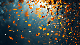 L(fng)~(dng)r(sh)Ą(dng)B(ti)Ӱ