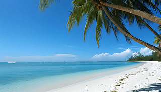 ̺{(ln)ӳrɳҬL(fng)Ƭ