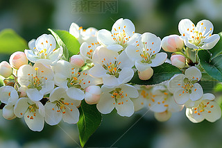 `ŵİɫ֦،