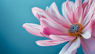 Gۼtc{(ln)ɫɫʌ(du)Ԓ(hu)