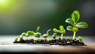 Ya(chn)ֵcֲl(f)ѿLƽչʾ