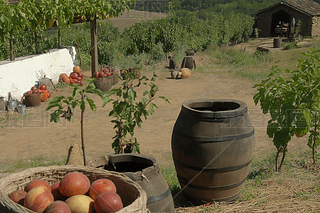 l(xing)r(nng)(chng)ի@AIL(hu)zӰƬDƬز