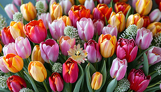 C(j)ȻMϳʬF(xin)ˇg(sh)O(sh)Ӌ(j)