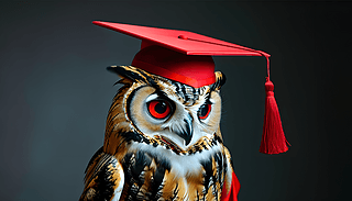 ؈^W(xu)͵ļtɫI(y)ñ