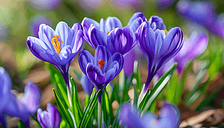 C(j)Ĵ쾰{(ln)ɫtWZĿ