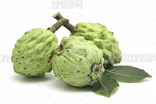 ȹ~Ƭ،