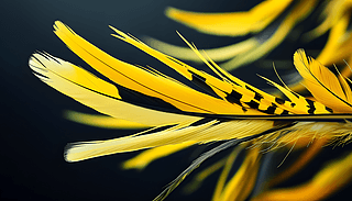 SڽeëL(fng)hӵĄӑB(ti)5