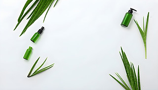 ЙCowa(chn)Ʒĸ߼չʾ܇h(hun)@[[ľG