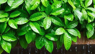 ΏıCľG~h(hun)@ˮЃAa