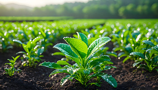 [[ĲĴֱr(nng)I(y)ɽF