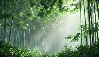 [[ľGɫͰɫ߼y~ӠIעĿ