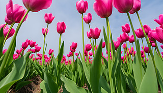 [[ľGо`ŞĸH(ji)c(dng)