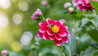 [[Ļ@о`ųM(mn)ļtɫSɫ