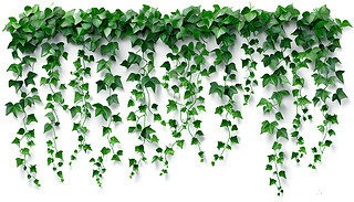 [[ľGɫٌӯBԭʼİɫ