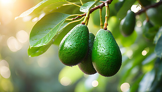 [[{ژ(sh)֦WWl(f)(yng)͸^(gu)M