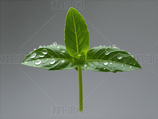 ˮ