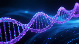 Ƽt(y)DNA﹤̿ƌW(xu)PPT