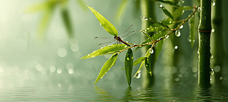 һƬ~ˮĹ(ji)С(bo)