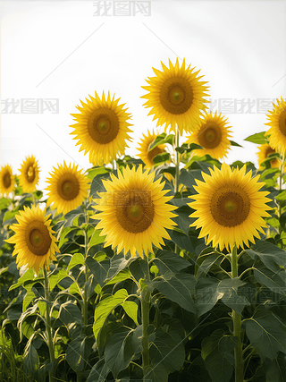 Ұеտ