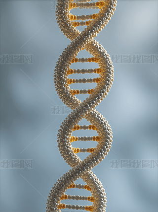 DNApY(ji)(gu)ĿƌW(xu)չʾ