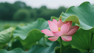 С(ji)ɻ،ɫɏUⱳD