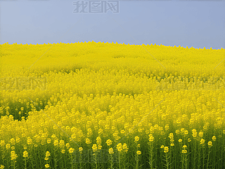 SͲ˻Ĵ쾰