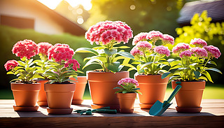 @ˇߺͻ貼ꖹĵĻ@ڷNֲ