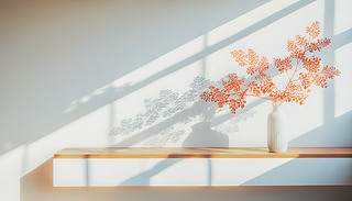 [[ľGɫֲ(yu)ŵչʾ|(zh)ľƼ