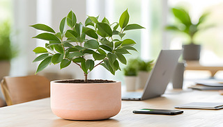 [[ԘڬF(xin)kh(hun)(qing)G