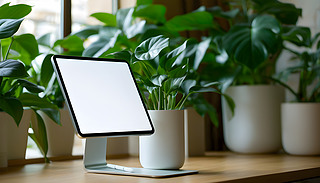 [[҃(ni)@ڹ⻬İɫзNֲC