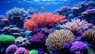 ԭʼᎧˮꖹ³MĻSɺ