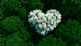 ڳM(mn){(ln)ԡ(yng)еΘ(sh)