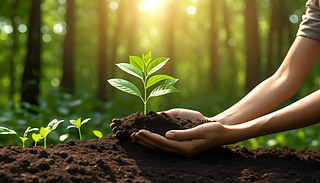 ڳMȻh(hun)ОM(jn)ɭ