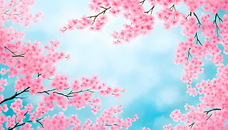 ڳM{_ۼtɫĘ