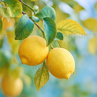 ֦^r