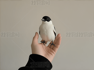 зСBĜܰ