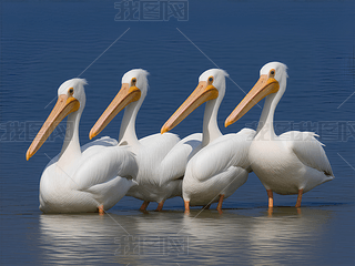 ֻYˮϵă(yu)ˑB(ti)