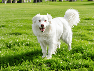 ݵϱܵİɫL(zhng)ëȮ