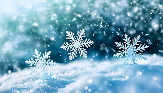 (f)sѩڶL(fng)ЃY(ji)\(yn)(dng)Љ(mng)ɢЧ