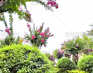 ԭ(chung)`ŵɫޱ`ŵ˲g