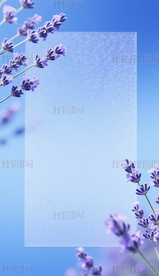 {(ln)µ޹²ݻ