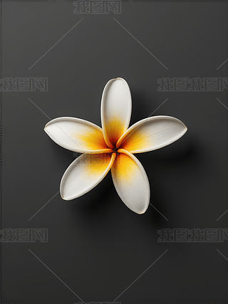 һʢ_u