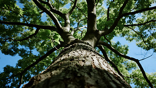 (ji)ҕ{(ln)Ȼh(hun)