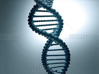 DNApY(ji)(gu)ĿƌW(xu)D